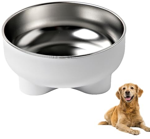 Duuclume Cuenco para mascotas, cuenco de agua de acero inoxidable para perros y gatos, plato inferior de goma antideslizante para alimentos secos y húmedos, fácil de limpiar, apto para lavavajillas
