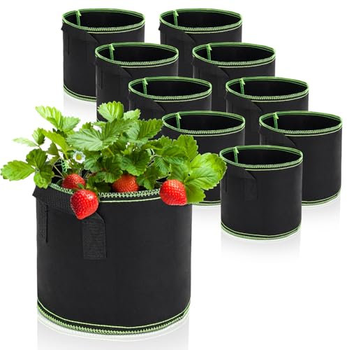 Bolsa de Cultivo 11L, Maceta de Tela con Asa, Bolsas para Plantas Transpirables no Tejidas para El Cultivo de Verduras, Flores, Frutas y Otras Plantas, Negro, 10 Piezas, 3 GAL