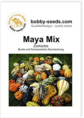 Maya Mix Zierkürbis von Bobby-Seeds, Portion