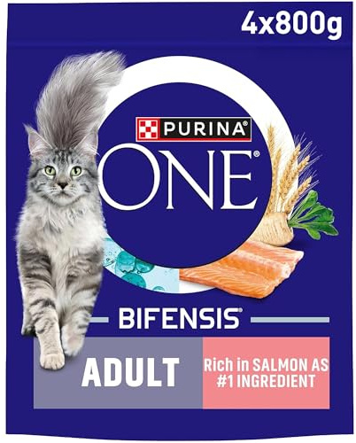 PURINA ONE Salmon Dry Cat Food 800g (Pack of 4)