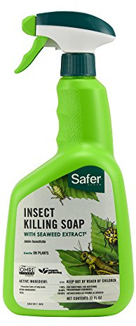 Safer Brand 5110-6 Insect Killing Soap, 32 Oz.