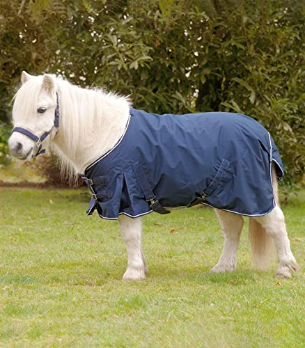 Shetty-Regendecke Light