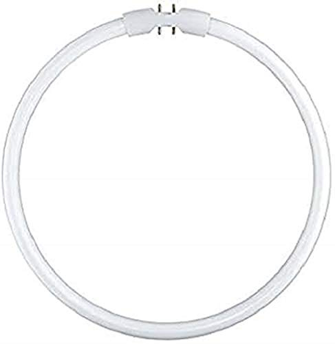 Osram FC 22 W/830 lysrör 12 x 1