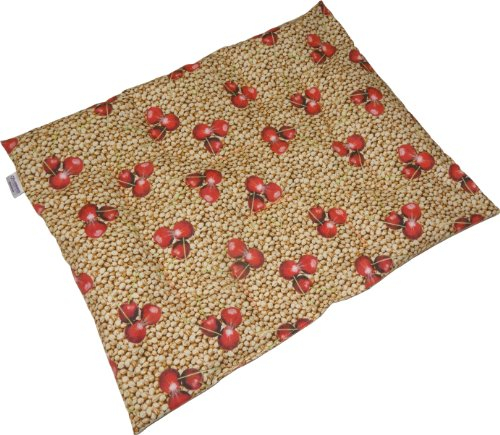 Dr. Junghans Medical 40063 Kirschkernkissen, 40 x 50 cm, 1440600