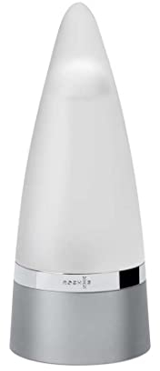 Rochas homme / men, Eau de Toilette, Vaporisateur / Spray 100 ml, 1er Pack (1 x 100 ml)