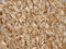 Prodotto kg farro, spelta, Pula a partire da 1,99 Euro/kg - 20 kg