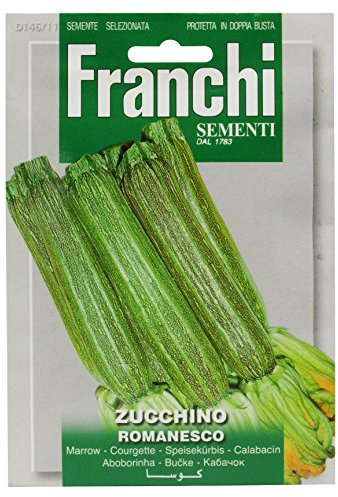 Franchi Courgette Romanesco