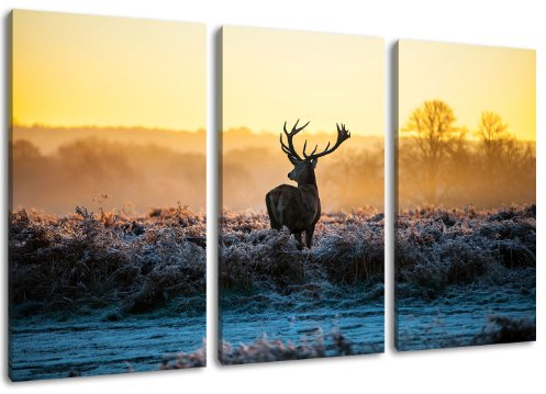 Dream-Arts Hirsch Motiv, 3-teilig auf Leinwand (Gesamtformat: 120x80 cm), Hochwertiger Kunstdruck als Wandbild. Billiger als EIN Ölbild! Achtung KEIN Poster oder Plakat!