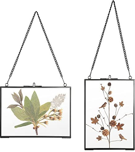 SUMTree Set of 2 Black Glass Hanging Photo Picture Display Frame, Floating Glass Picture Frame with Chain for Family Tree Mini Photo, Gallery Wall Art Work, Pressed Flower, collage, etc, 5 * 7 inch