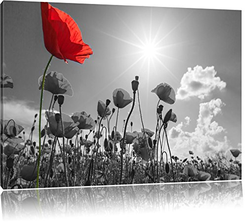Pixxprint wunderschönes Mohnblumenfeld im Sommer B&W, Größe: 120x80cm, Leinwandbild, fertig gespannt, Wandbild, Dekoration, Kunstdruck, kein Poster