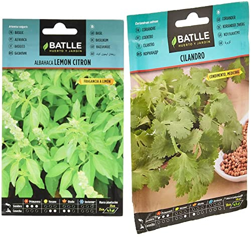 Albahaca Lemon Citron & Batlle Semillas Aromáticas, Cilantro