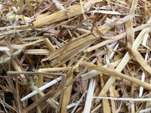 Schwäbisches Stroh 6kg Naturbelassen für Kleintiere