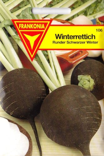 Radis d'hiver, radis, hiver noir rond, graines pour environ 3 mètres courants.