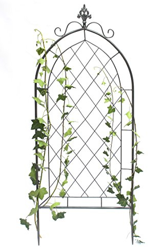 DanDiBo Rankhilfe Metall Rankgitter 120 cm Grau 96193 Kletterhilfe Bodenstecker Blumenhalter Ranksäule