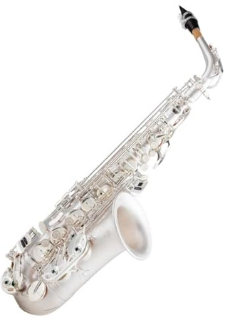 Professionell Saxofon Altsaxofon I Ess mässing Med Försilvrad Konstruktion Med Fodral Och Munstycke
