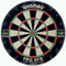 Steel Dartboard - Pro SFB
