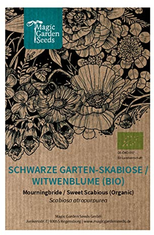 Vedovella selvatica (Scabiosa atropurpurea) biologica - circa 50 semi
