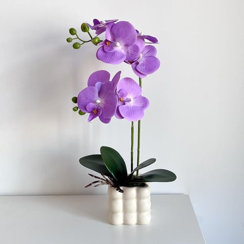 LZTDRZH Artificial Orchid Flowers, 14 Inches Tall, Purple, Set in White Vases for Home Decor Orchid Artificial Flowers