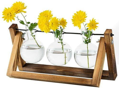 Glasseam Station De Propagation pour Plantes Mise À Niveau De L'Ampoule Vase Planter avec Support en Bois Pot De Plante en Verre Intérieur pour La Décoration De Pièce Maîtresse De Table Accessoires
