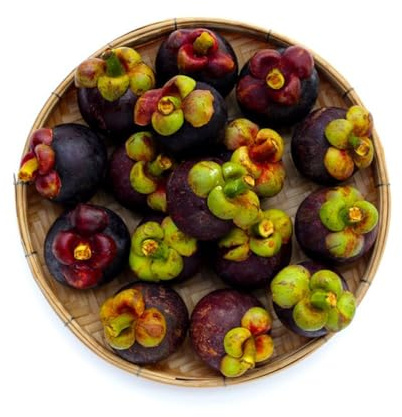 50 piezas semillas mangostán - comprar resistentes al jardín, semillas organicas jardín interior de