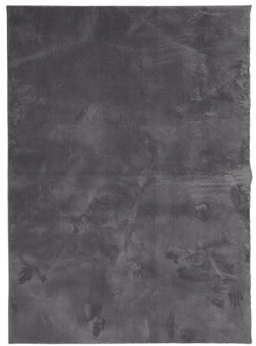 vidaXL Soft and Washable Short Pile Rug in Anthracite - 100% Polyester, Non-Slip Backing, Machine Washable, Suitable for Underfloor Heating, 120 x 170 cm