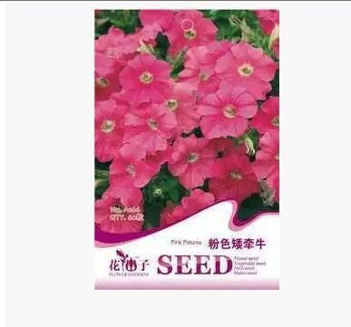 variedad de semillas de color petunia La fábrica de embalaje alrededor de 60 grano de un paquete de semillas púrpuras originales