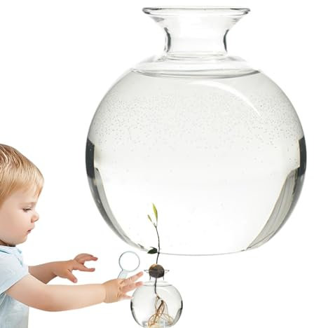 Avocado-Vase – Glas-Pflanzvase, elegante Baum-Anzuchtvase, hitzebeständig, stilvoller Glas-Pflanztopf, einzigartige Glasvasen, klares, vielseitiges Design für Gartenliebhaber, drinnen und draußen