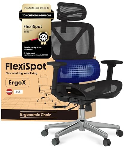 FLEXISPOT ErgoX Silla Ergonomica Escritorio, Silla Escritorio con Soporte Lumbar, Respaldo 5D Ajustable, Inclinación 135°, Cojín Transpirable, Reposabrazos 3D, Ideal Oficina, Negro