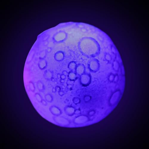 Jouet interactif pour chien - Boules lumineuses clignotantes, motif élastique à motif de lune | Détails d'enrichissement et de soins dentaires, encourage le jeu actif, parfait pour les chiots, les
