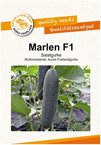 Gurkensamen Marlen F1, Freilandsalatgurke Portion