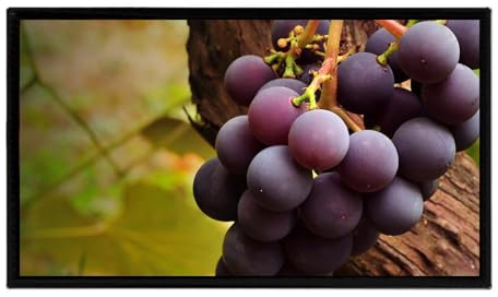 32 Zoll großer digitaler Bilderrahmen, IPS-Full-HD-Bildschirm, Timer ein- und ausschaltbar, Wandmontage, einfach einzurichten (Color : Black, Size : without wifi)