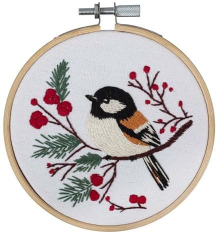 Trimits Kit de broderie – 10 cm – Kit de démarrage pour débutant, comprend des fils en bambou, des fils en bambou, un support d'aiguille et des instructions (français non garanti), oiseau