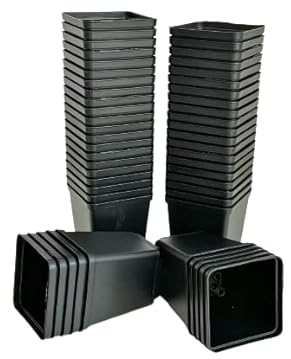 spiceboxx 50x 7x7x8cm Profi Anzuchttöpfe eckig Vierecktopf Pflanztöpfe Blumentöpfe klein Anzucht Vierkanttöpfe Tomatentopf Rosentopf Kunststoff Blumentopf Plastik schwarz (50)