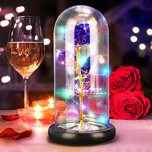 DASIAUTOEM Rose éternelle dans un verre, roses éternelles La Belle et la Bête, rose en soie et lumière LED sur socle bois, cadeau romantique pour fête des mères, anniversaire de mariage, femme, amie