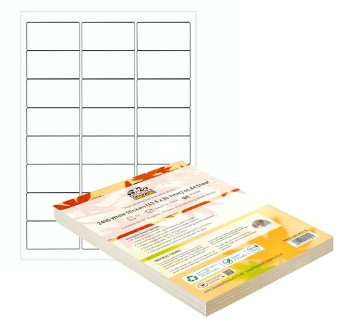 Double Dragon, 100 Sheets Pack A4 Self Adhesive Address Labels Sticker Paper, 24 Labels Per Sheet, 63.5 x 33.9mm (2400 Labels)