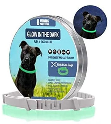 Zeckenhalsband für Hunde und Katzen | Leuchtendes Präventionshalsband gegen Parasiten mit bis zu 8-Monatigen Schutz | Fluoreszierendes Halsband universell auf Jede Größe verstellbar