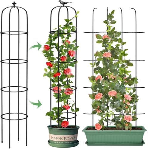 LATERN 1 Pièce Treillis Obélisque de Jardin pour Plantes Grimpantes, 180CM Haut Support Tuteur en Métal Antirouille Cadre de Treillis pour Pots Plante Rosier Tomate Concombre Fleurs Raisin Pois