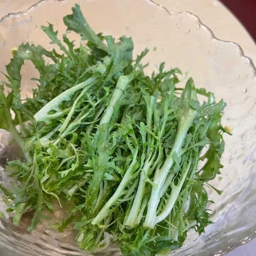 comprare indivie semi di biologici, varietà antiche semi di indivia Acquista piantine invernali rampicanti esotiche rare varietà antichi sostenibili 300semi