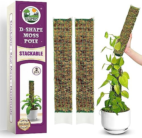 DUSPRO D-Shaped Plastic Moss Poles for Climbing Plants - Stackable Monstera Plant Pole, Handmade Stick for Indoor Plants to Grow Upward - 2 Pack, 16.5 Inches