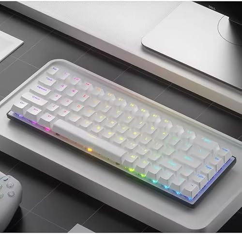 Guiheng Wired Portable 60% Mechanical Gaming Keyboard,RGB LED Backlit Compact 68 Keys Mini Wired Office Keyboard with Red Switch for Windows Laptop PC Mac - White