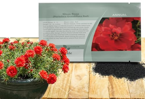 Outsidepride Red Moss Rose Seeds - 5000 Pcs Annual, Drought & Heat Tolerant, Pollinator Friendly Ground Cover Seeds for Planting w/Vibrant Blooms & Succulent Foliage, Ideal for Xeriscaping