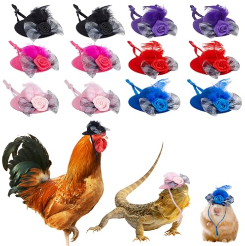 FINGERINSPIRE 12Pz 6 Colori Cappello a Cilindro con Piume per Animali Domestici con Cinturino Regolabile per Il Mento Cappellino in Poliestere Piccolo Cappello per Animali per Polli Pollame Accessori