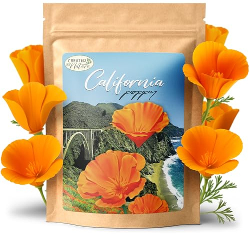 Created by Nature California Poppy Flower Seeds, 20,000 Native Wildflower Seeds, California State Flower