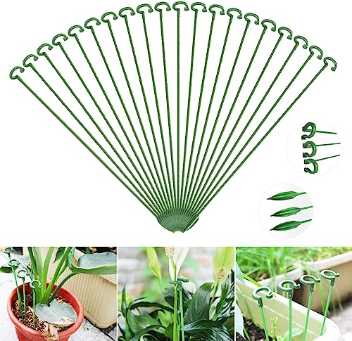 SIYINGSAERY 20Pz Bastoncini di Supporto per Piante 27 cm Pianta Supporto Pali Tutore Supporto Stelo Singolo Bastone per Piante Protezione Delle Piante supporto per fiori Peonia Amaryllis Giglio Rosa