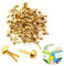 SpetngSake 100 PCS Gold Musterbeutelklammern Mini,Gold Musterklammern,Rundkopfklammern,Mini Musterbeutelklammer,Musterbeutelklammern Gold,für DIY Handarbeiten, Dekoration und Handwerk