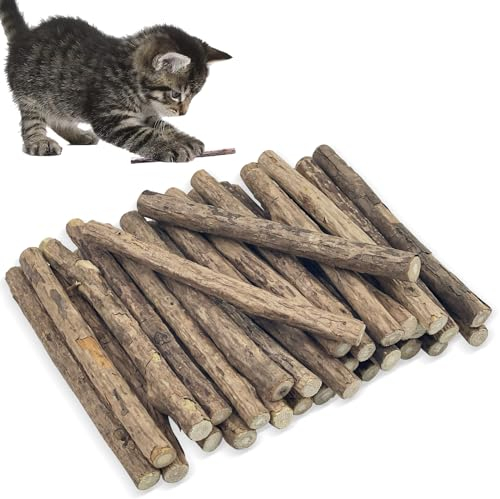 Tekenewbse 32 Stücke Katzenminzen-Sticks, Katzenzahnpflege Sticks, Matatabi Spielzeug, Kauholz Für Zahnpflege und Gegen Mundgeruch, Katzenminze Zum Schleifen