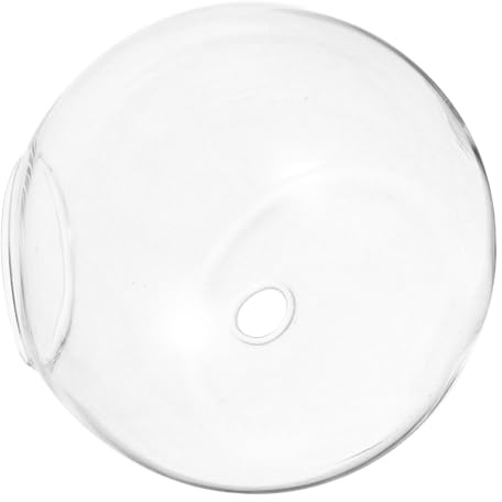 Hemobllo Terrarium Sphérique Transparent pour Plantes Aériennes Aquarium Mural Vase Verre pour Décoration De Table