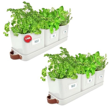 Green Thumbz Herb Pots for Kitchen Windowsill - 2 Pack Warm Stone Herb Planter Indoor with Leather Handled Tray - Ideal for an Indoor Herb Garden, Plants and Flowers - Labels Included