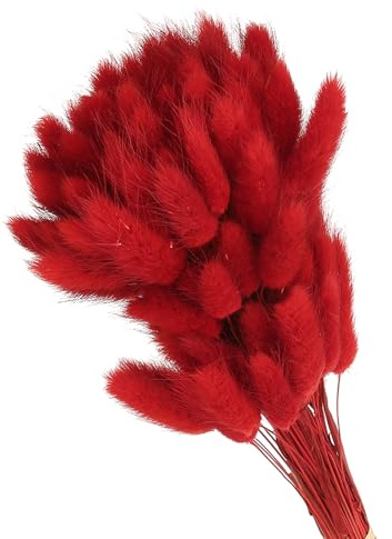 PATIKIL 15.7in Coda di Coniglio Fiori Secchi, 80pz Erba di Pampas Decorativa Coda di Coniglio Erba di Pampas Naturale in Bulk Fluffy Faux Erba di Pampas Essiccata , Rosso