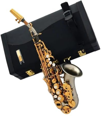 Professionell Saxofon Matt Böjd Altsaxofon Svart Silver Nickel Med Fodral